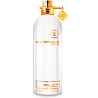 Montale Nepal Aoud Vapo 100ml Eau De Parfum