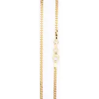 None Guldkedja pansar 2.4mm 14k guld GD070/45