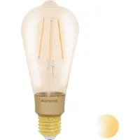 Vogel's Marmitek Smart me Smart comfort Glow XLI - LED-glödlampa med filament - form: ST64 - E27 - 6 W (motsvarande 40 W) - klass E - varmt vitt ljus - 2500 K