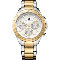 Tommy Hilfiger 1791226 Hudson Two Tone herrklocka