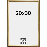 Walther design KP030G Växelram akryl Pappersformat: 20 x 30 cm (B x H) 20 cm x 30 cm Guld