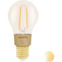 Vogel's Marmitek Smart me Smart comfort Glow MI - LED-glödlampa med filament - form: A60 - E27 - 6 W (motsvarande 40 W) - klass E - varmt vitt ljus - 2500 K