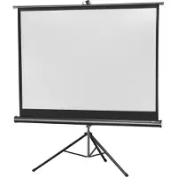 Celexon 1090272 Stativ-projektorduk 211 x 160 cm Bild - Format: 4:3