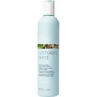 Milk shake milk_shake - Normalizing Blend Shampoo 300 ml
