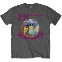 Ginza.se Jimi Hendrix: Unisex T-Shirt/Are You Experienced (Grey) (Small)