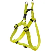 Rogz Classic Special Ssj06 Hundsele