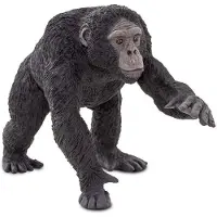 Safari Ltd Schimpansfigur