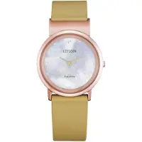 Citizen Eco-Drive Super Titanium EG7073-16Y
