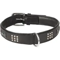 Flamingo Sedona Hundhalsband