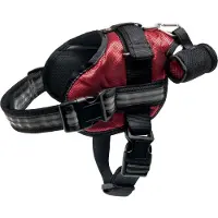 Flamingo Adventure Hundsele