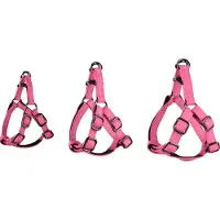 Flamingo Step And Go Leza Hundsele