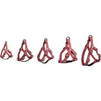 Flamingo Step And Go Delu Hundsele