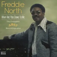 Ginza.se North Freddie: What Are You Doing To Me
