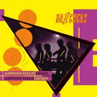 Domino Buzzcocks: A different kind of tension 1979