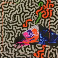 Ginza.se Animal Collective: Tangerine Reef