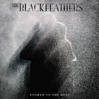 Ginza.se Black Feathers: Soaked To The Bone