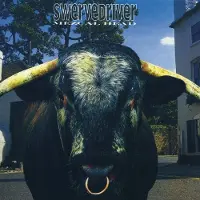 Ginza.se Swervedriver: Mezcal Head