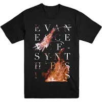 Ginza.se Evanescence: Unisex T-Shirt/Synthesis (Black) (Large)