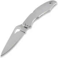 Byrd Cara Cara 2 BY03P pocket knife
