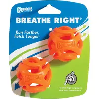 Chuckit! Chuckit - Breathe Right Fetch Ball - Small - 2 pk