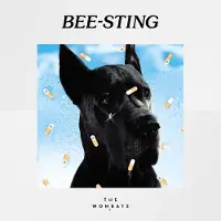 Ginza.se The Wombats: Bee-sting