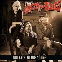 Ginza.se Snibb Pontus & Wreck Of Blues: Too late... 2018