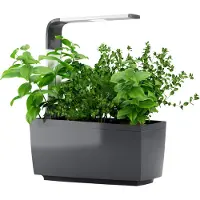 Tregren Kitchen Garden T6 Grå