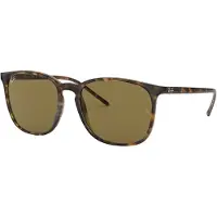 Ray-Ban 0RB4387 Solglasögon -