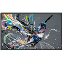 Philips 86BDL3511Q - 86" Diagonal klass (85.6" visbar) - Q-Line LED-bakgrundsbelyst LCD-skärm - digital skyltning - 4K UHD (2160p) 3840 x 2160
