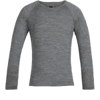 Icebreaker 200 Oasis Crew Merino T-shirt Med Lång ärm