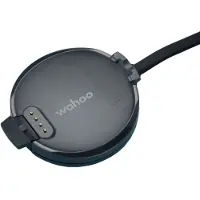WahooFitness Element Rival Watch Laddare