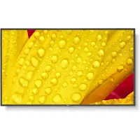 NEC MultiSync ME431 - 43 Diagonal klass ME Series LED-bakgrundsbelyst LCD-skärm - digital skyltning - 4K UHD (2160p) 3840 x 2160 - Direct LED - svart, pantone 426M