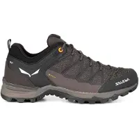 Salewa Mtn Trainer Lite Gore-tex Vandringsskor