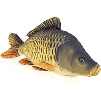 Gaby The Common Carp Giant Kudde