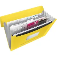 Esselte Vivida - Dokumentplånbok - expanderar - 6 utrymmen - för A4 (210 x 297 mm) - kapacitet: 300 ark - tabbad - intensivgul