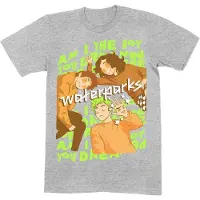Ginza.se Waterparks: Unisex T-Shirt/Dreamboy (Grey) (Medium)