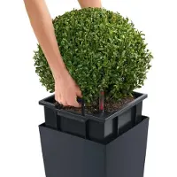 Lechuza Självvattnande Blomkruka