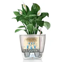 Lechuza Självvattnande Blomkruka - Modern Inomhushave Lösning