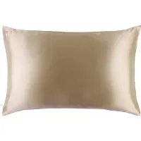 Slip Pure Silk Queen Pillowcase Caramel Kuddar 1 st