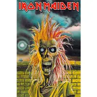 Ginza.se Iron Maiden: Textile Poster/Iron Maiden