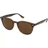 Ray-Ban 0RB4259 Solglasögon -