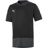 Puma Tränings T-Shirt teamGOAL 23 - Svart/Grå Barn, storlek YXS/116 cm