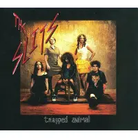 Ginza.se Slits: Trapped Animal