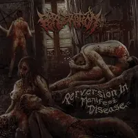 Sonic Perveration: Perversion in Manifest Disease