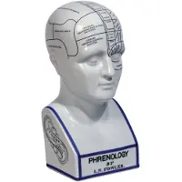 Authentic Models Phrenology Head dekoration