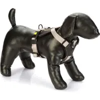 Beeztees Premium Parinca Y Hundsele