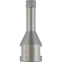 Bosch Accesorios Dryspeed 10 Mm Diamantborr