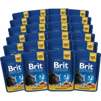 Brit Premium Cat Adult lax och öring kattpåse 24 x 100 g