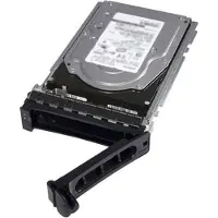 Dell - Kundsats - hårddisk - 12 TB - hot-swap - 3.5" - SAS 12Gb/s - nearline - 7200 rpm - för PowerEdge C6420 (3.5")