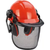 Einhell BG-SH 1 4500480 Skyddshjälm för skog EN 1731, EN 397 Orange, Svart